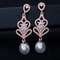 Special Geometrical Silver Color Pearl Earrings Brinco High-Grade CZ Zircon Pearl Earring For Women supplier