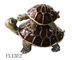 Turtle antique trinket box supplier
