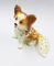 New product animal dog Metal Rhinestone Jewelry Box cheap trinket box supplier