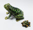 Baby Mum Frog trinket jewelry box metal frog trinket box treasure box metal jewelry box supplier